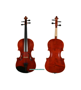 Viola Corina Duetto