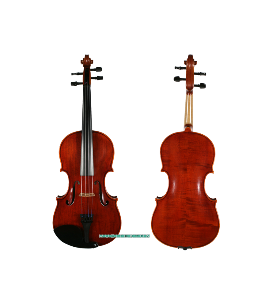 Viola Corina Duetto