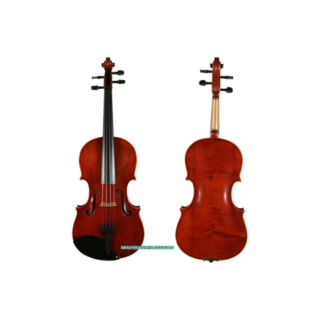 Viola Corina Duetto