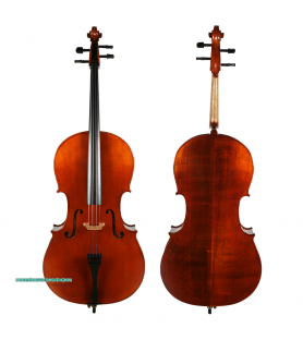 Violoncel Corina Duetto