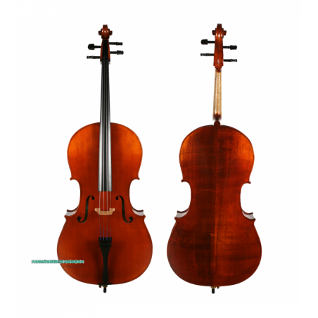 Violonchelo Corina Duetto
