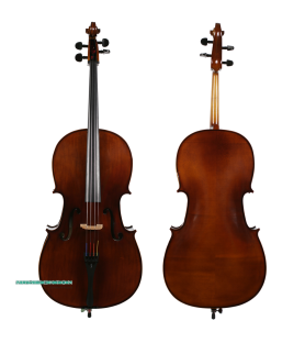 Cello Stentor Student II SH