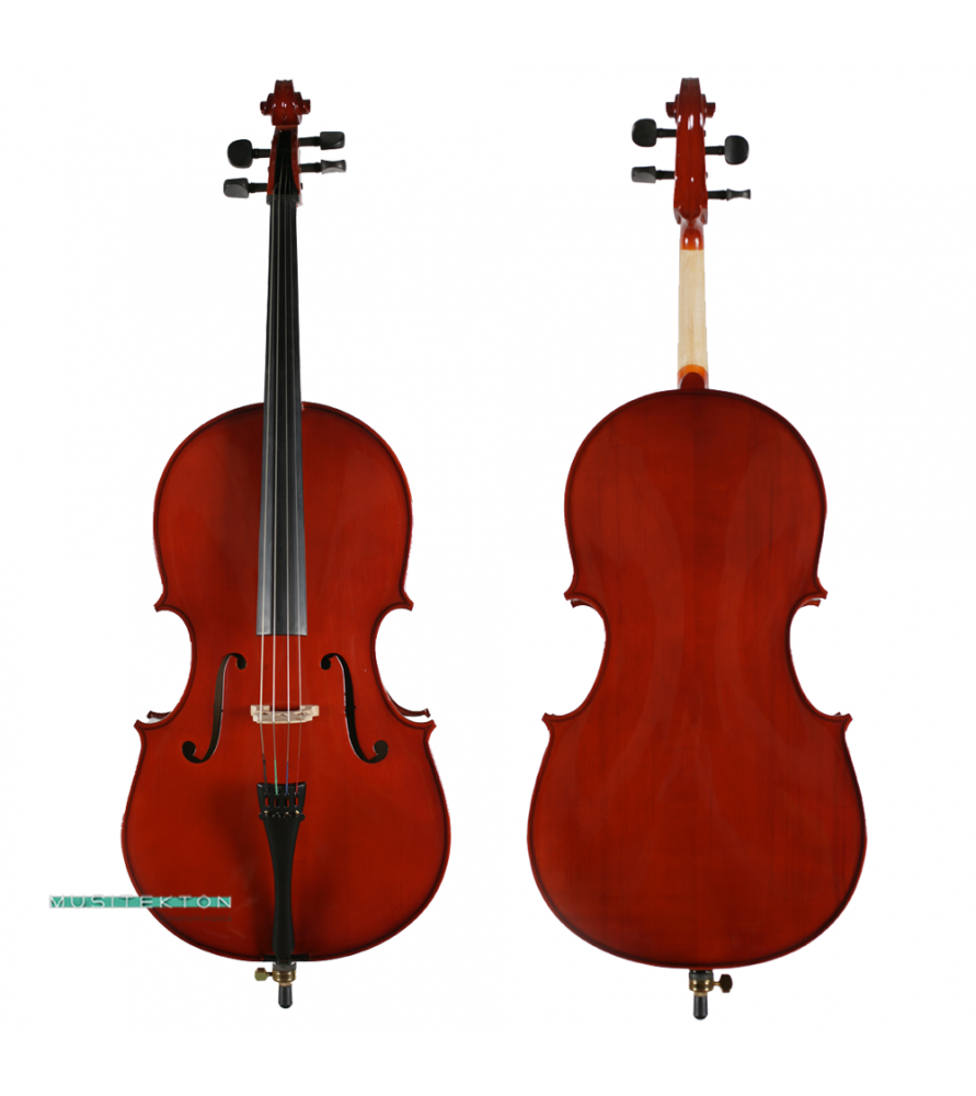 Violoncel Kreutzer School