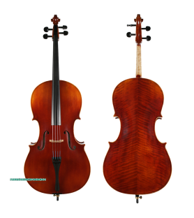 Violoncel Müller Concertino