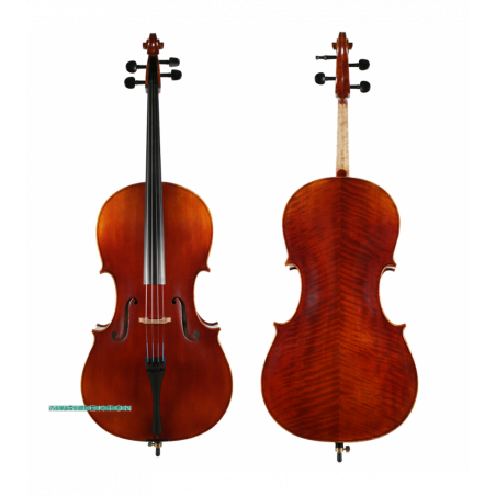 Violonchelo Corina Duetto