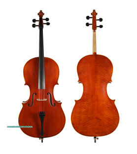 Violonchelo Corina Duetto