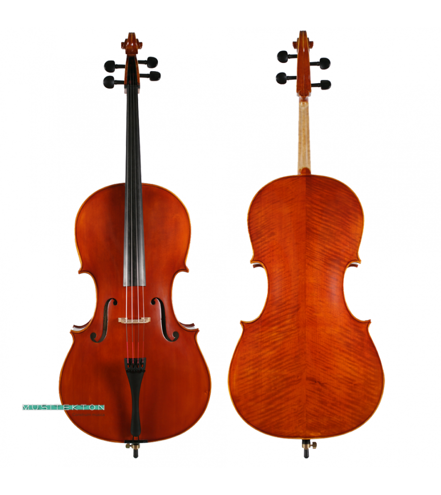 Violonchelo Müller Virtuoso