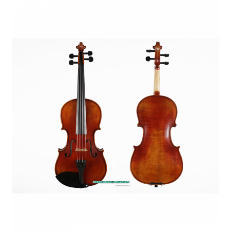 Violín Kreutzer School