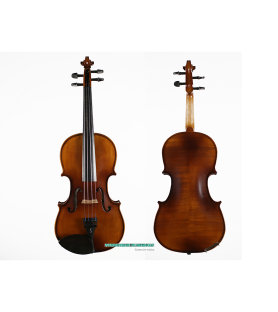Violín Kreutzer School