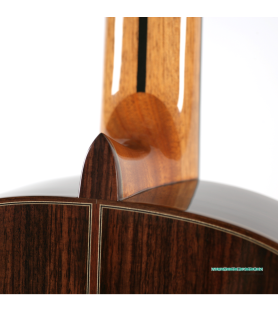 Guitarra F. Caldera Lidia