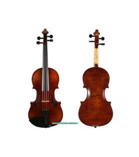 Violín Corina Sestetto