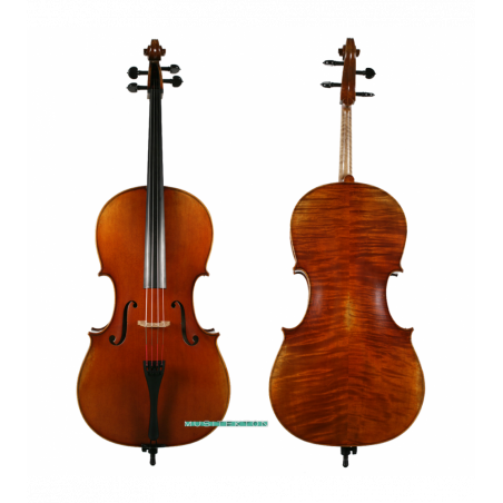 Violonchelo Müller Master