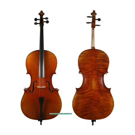Violonchelo Müller Master