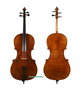 Violonchelo Antonio Wang Viena