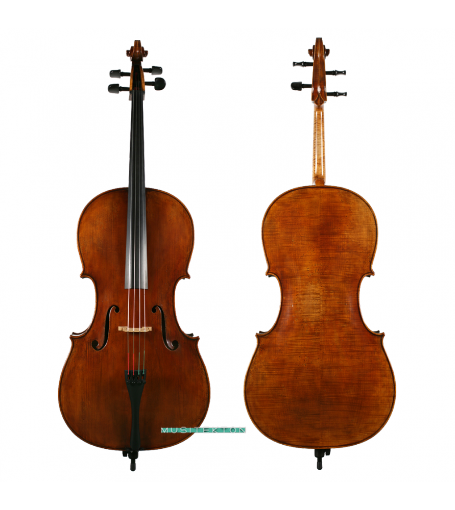 Violonchelo Antonio Wang Viena
