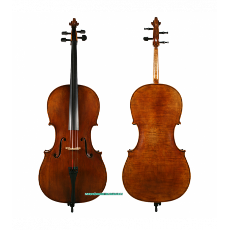 Violonchelo Antonio Wang Viena