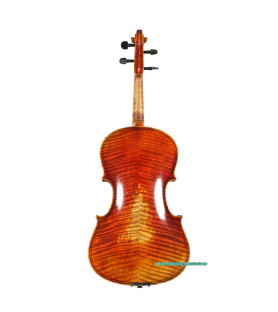 Viola Jay Haide Maggini