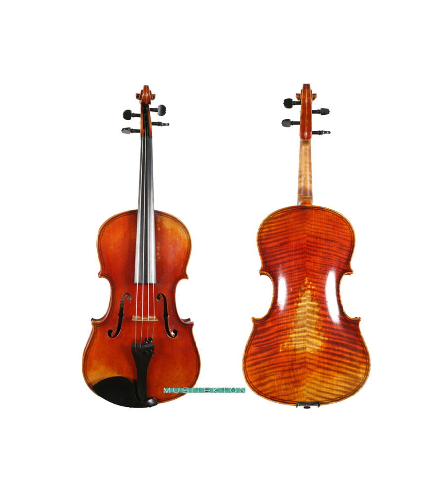 Viola Jay Haide Maggini