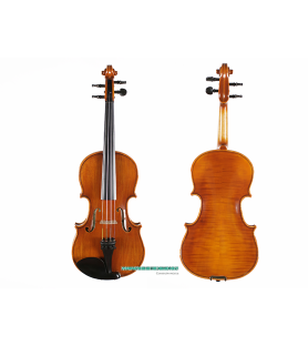 Violín TY Laurea