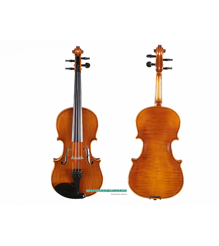 Violín TY Laurea