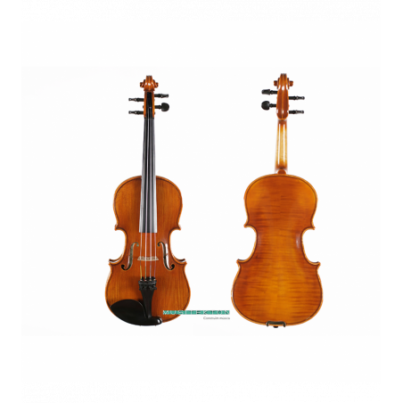 Violín TY Laurea