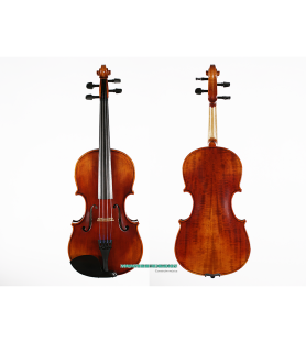 Viola Corina Quartetto