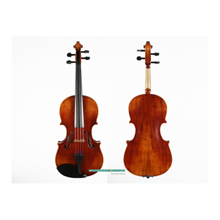 Viola Corina Quartetto