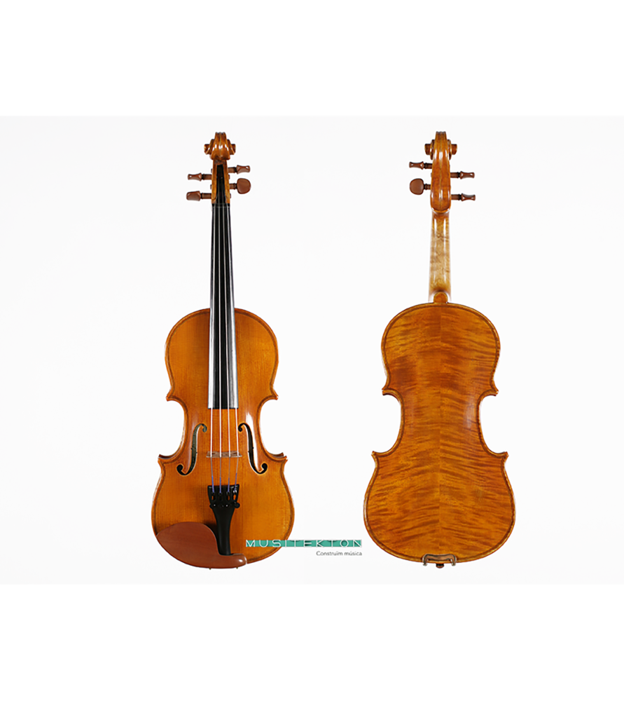 Viola Corina Quartetto