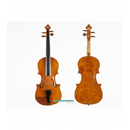 Viola Corina Quartetto