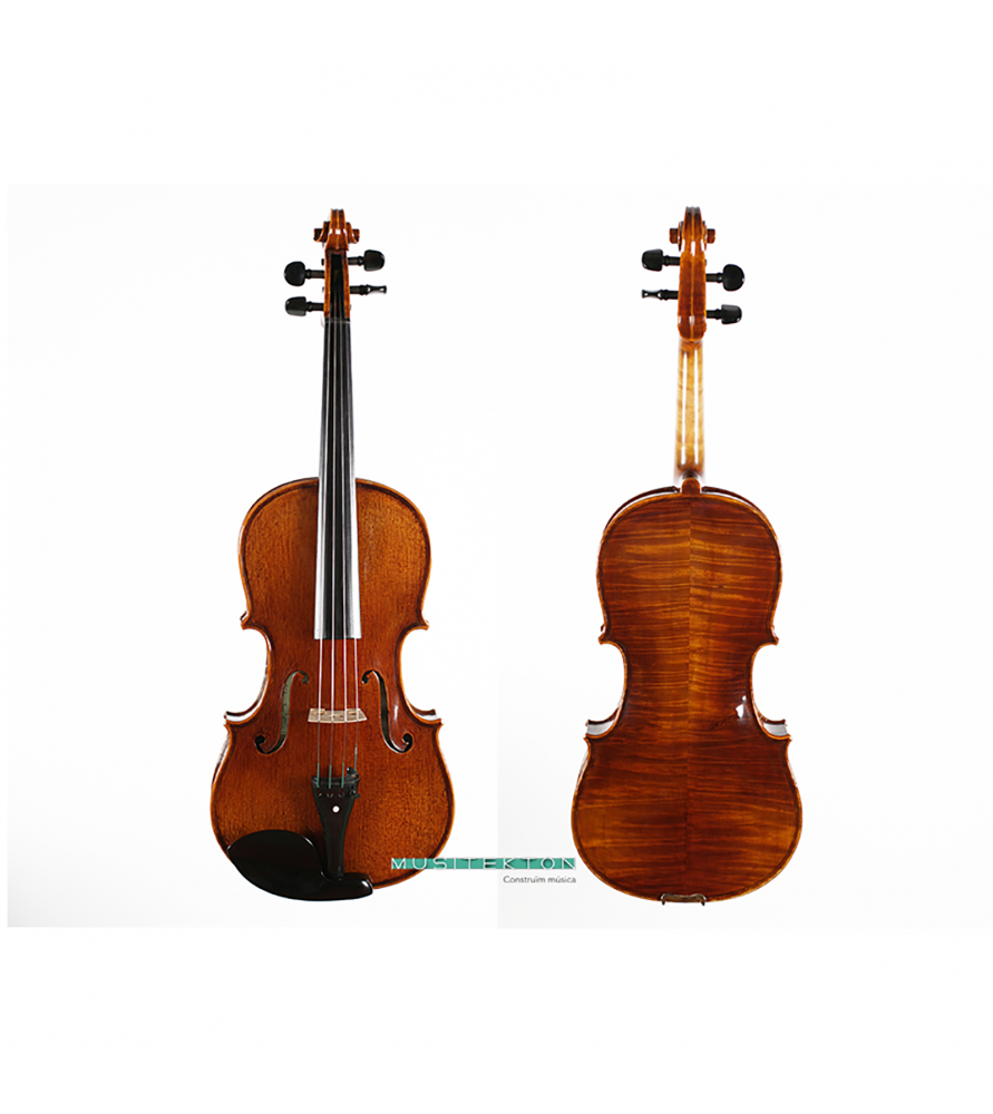 Viola Corina Quartetto