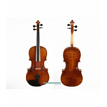 Viola Corina Quartetto