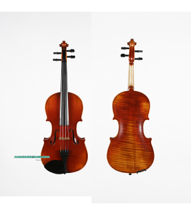 Violí Corina Orquestra