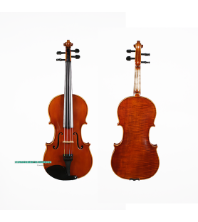 Violín Kreutzer School