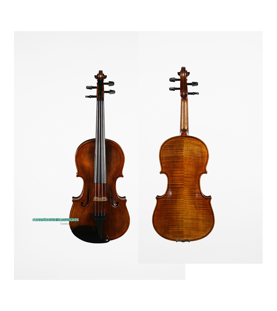 Violín Stentor Verona