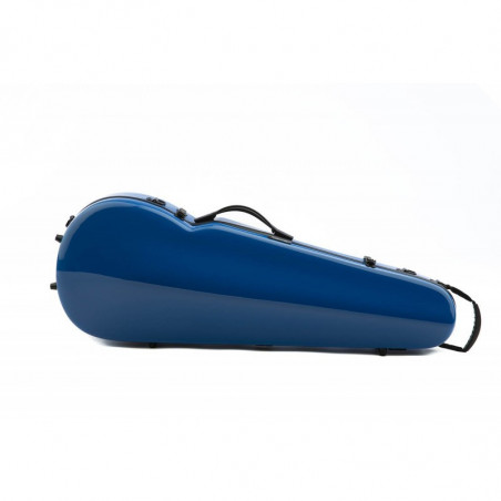 Estuche Viola Rapsody Rainbow forma