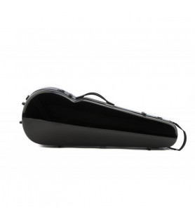 Estuche Viola Rapsody Rainbow forma