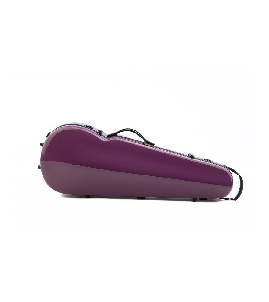 Estuche Viola Rapsody Rainbow forma