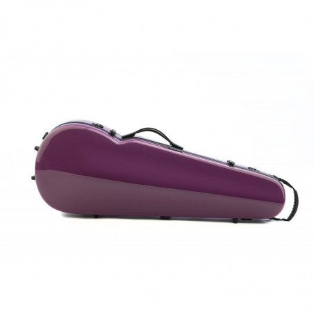Estuche Viola Rapsody Rainbow forma