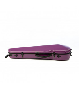 Estuche Viola Rapsody Rainbow forma