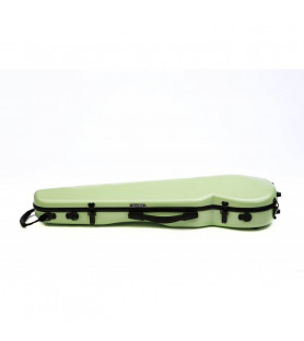 Violin Case Rapsody Rainbow contoured