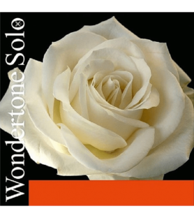 Cuerda Violín Pirastro Wondertone Solo