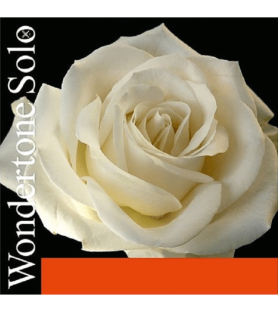 Cuerda Violín Pirastro Wondertone Solo