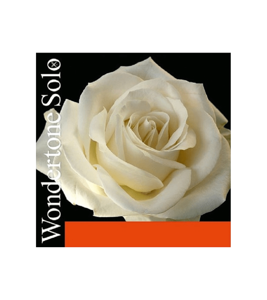 Cuerda Violín Pirastro Wondertone Solo