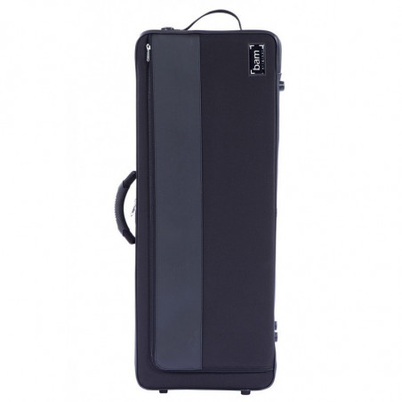 Estuche Viola Bam Artisto 2041B