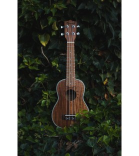 Ukelele soprano Kunde Moon