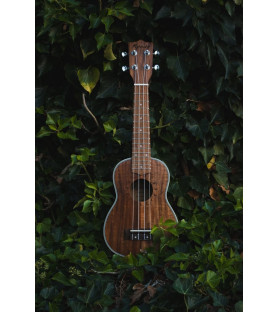 Ukelele soprano Kunde Moon