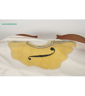 Microfiber bag for viola Maria Amorós