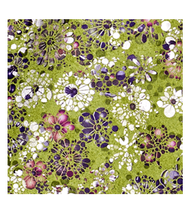 Funda Hoody Flowers Bam HO2002XLF per a estoig de Violí forma