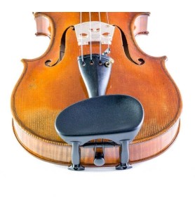 Barbada Viola Wittner Augsburg