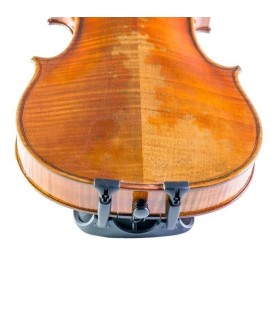 Barbada Viola Wittner Augsburg